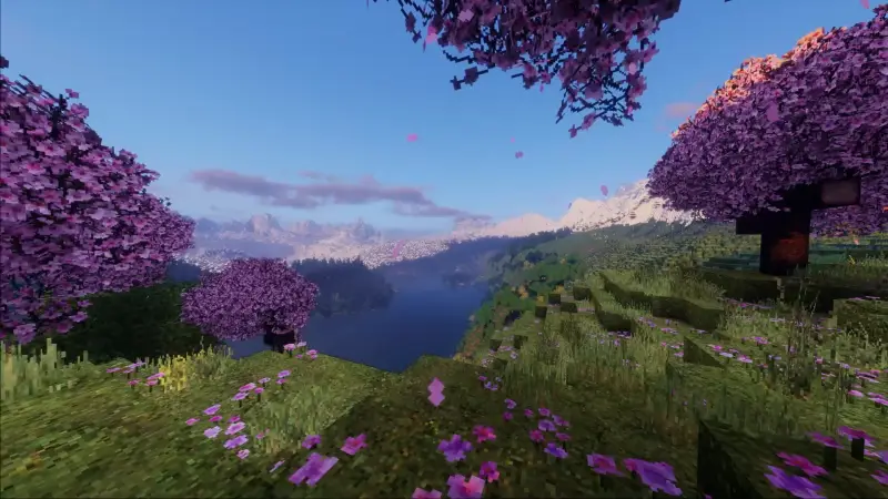 Cherry trees in blossom above a mountain lake